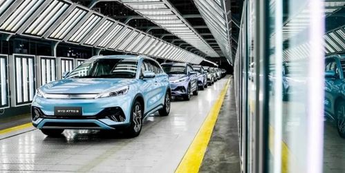 汽車行業(yè)年度觀察丨新能源汽車百花齊放 產(chǎn)銷量再創(chuàng)新高